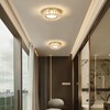 Gisisee 11 Inch Modern Gold Luxury Flush Mount Ceiling Light,Small