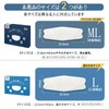 3D Mask, Large 22.5cm/Slightly Large 21cm, Non-Woven Fabric, Individually Packaged,