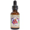 Power of Flower Healing Love Elixir 30ml