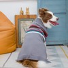 PAWCHIE Dog Sweater - Warm Coat Turtleneck Thick Dog Clothes