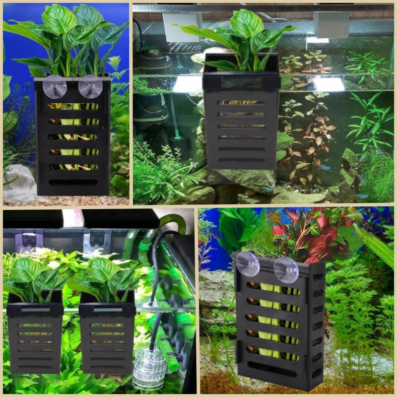 Taicols 4 Pack Aquarium Plant Holder with Hooks and Suction