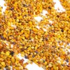 L'Abella Mel Spanish Bee Pollen from Own Beekeeping - Pure