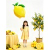 Yellow Lemon Balloons,Lemonade Balloons for Freshly Graduated Lemon Decor,She Found