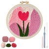 HASTHIP - HANNEA® Kit de Arte de Aguja Mágica de