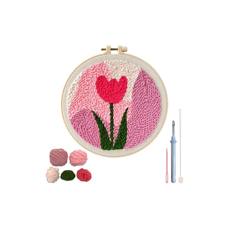 HASTHIP - HANNEA® Kit de Arte de Aguja Mágica de