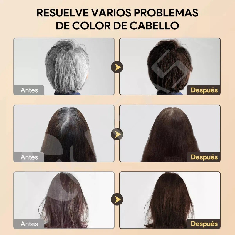Kaisasa® Shampoo Con Tinte Cubre Canas Con Aceite De Argán