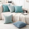 Jepeak Decorative Throw Pillow Covers Pack of 2 Chenille Cozy