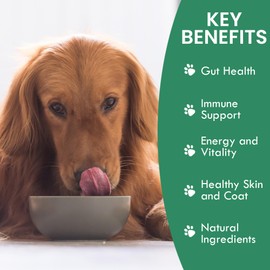 HOLISTIC BIN Canine Powderized Beef Bone Broth – Protein Powder for Endurance & Longevity – Nutritious Dog Enrichment for Energy & Wellness – Premium Beef Protein Supplement - 50 Grams