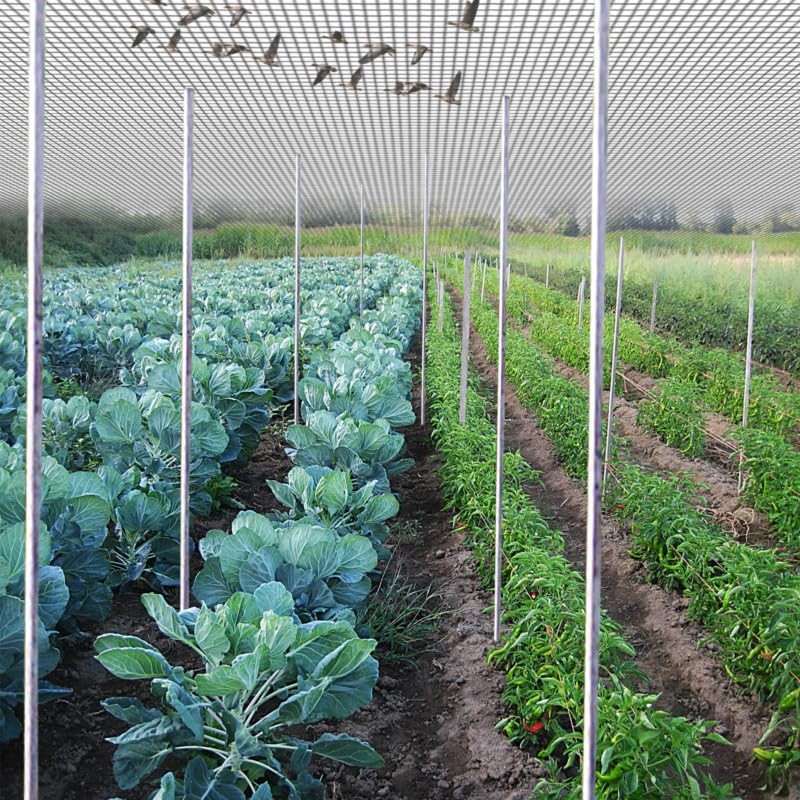 VBWSL 6 x 50 FT Bird Netting for Garden, 1"
