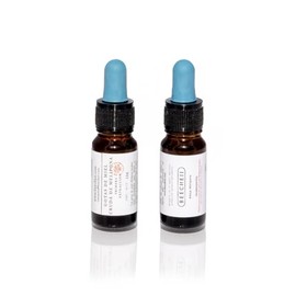 Primera Extracción de Miel Cruda Melipona Beecheii Producto 100% Natural Sin Conservadores Alta Pureza Producido Con Ética Desde Yucatan KOSHER - 2 Fr