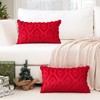 Artscope Pack of 2 Soft Plush Short Wool Velvet Decorative