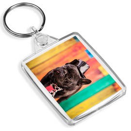 French Bulldog Keyring - IP02 - Cute Puppy Dog Funny Hat Fun 8495