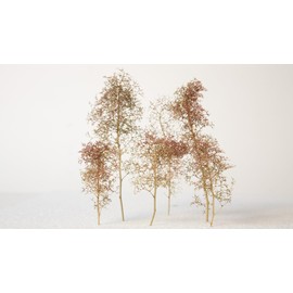 Noch 23100 - Alberi Naturali