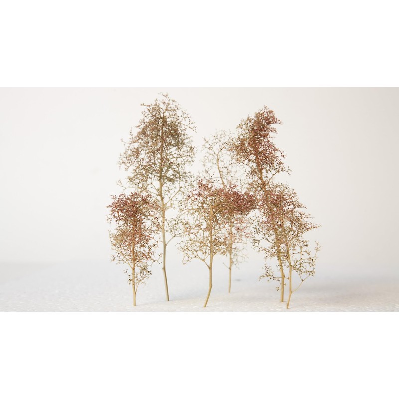 Noch 23100 - Alberi Naturali