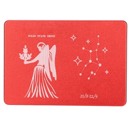 Hsthe Sea Mobile Solid State Disk Portable 2.5 Inch Metal Virgo Red External SSD for PC Computer1TB