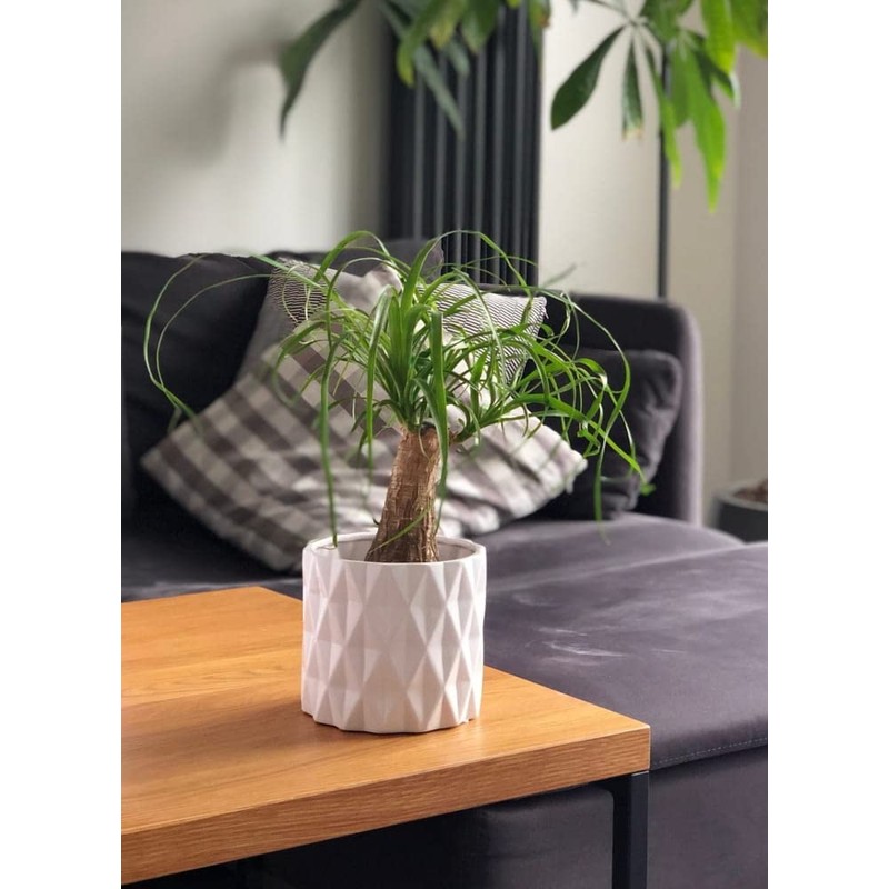 KOTARBAU® Ceramic Flower Pot Diameter 120 mm Planter Glazed White