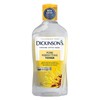 Dickinson’s Original Witch Hazel Pore Perfecting Toner 16 oz