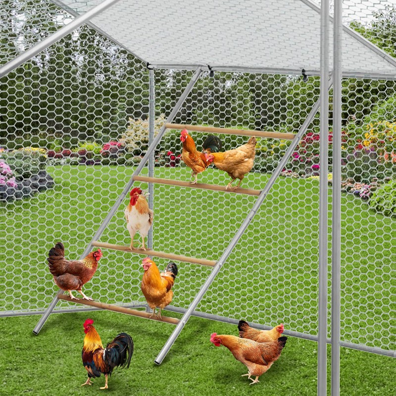 Chicken Roosting Perch, Chickens Roosting Bars for Coop, Easy to