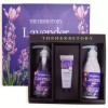 The Herb Story 더허브스토리 바디케어 3종 선물 세트 A 라벤더 The Herb Story Body Care 3-Piece Gift Set A Lavender