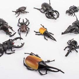 Bbiamsleep 10pcs Beetle Figurine Realistic Beetles Figure Models Garden Animal Simulated Beetle Figures