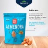GRUPO PREMIER Almendra entera, son naturales, descascaradas y cuidadosamente clasificadas