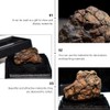 Meteorite from Space Real Space Rock Collection Science Ornament for