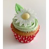 12 Gorgeous Mixed Colour Edible Wafer Daisies & 12 Pretty