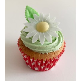 12 Gorgeous Mixed Colour Edible Wafer Daisies & 12 Pretty Leaves