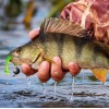 10 Señuelos De Pesca Gomas Cebo Blandos Currican Llamativo