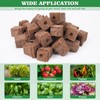 LAPOND 100 Pack Grow Sponges, Replacement Root Growth Sponges Seed