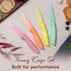 Ruffulon Paring Knife Set, 4PCS Stainless Steel Paring Knife Set,