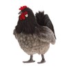 6037 – Alsace Hen 34 cm.L