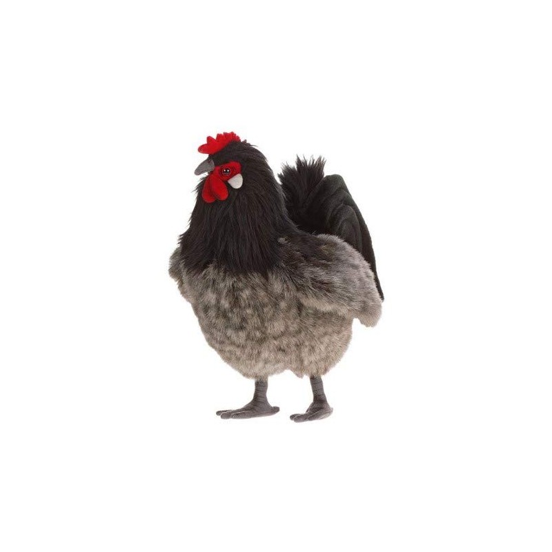 6037 – Alsace Hen 34 cm.L