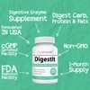 DigestIt Digestive Enzymes | Multi-Enzyme Formula with Amylase, Protease &