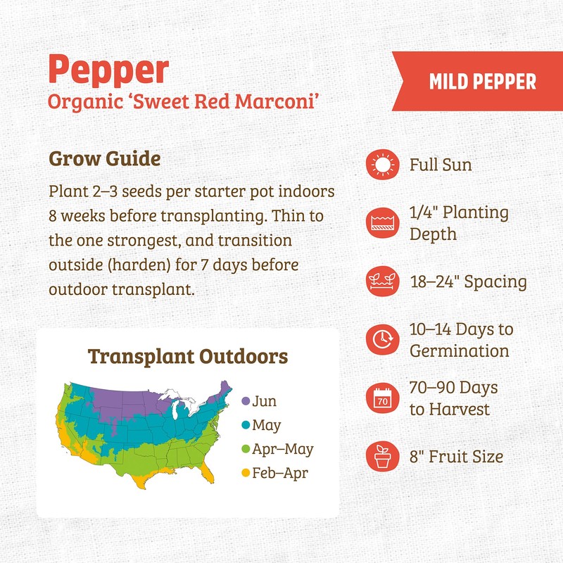 Back to The Roots 100% Organic Seed Packet - Pepper