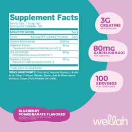 Wellah Pump-It-Up Creatine (100 Servings, Blueberry Pomegranate) - Creatine Monohydrate with Dandelion, Uva Ursi, & Cranberry Extract