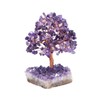 Jovivi Natural Amethyst Healing Crystal Money Tree on Amethyst Cluster