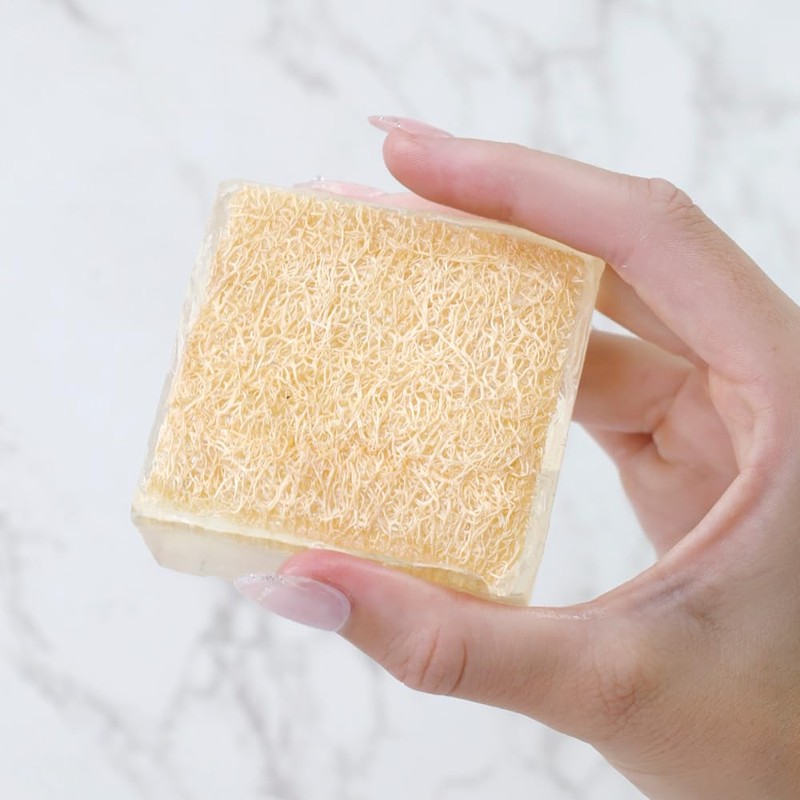 Primal Elements Eucalyptus Loofah Bar Soap, 5 Ounce