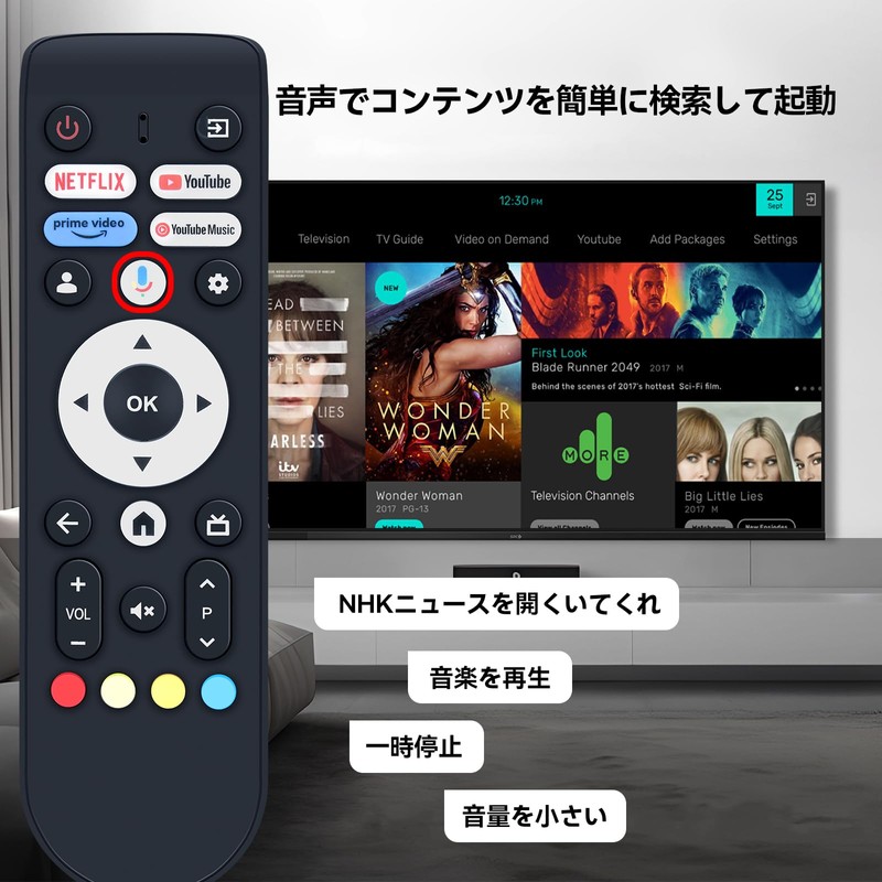 TV Remote Control for FPD Tunerless TVs with Voice Function