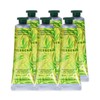 Nature Republic Verbena Moisturizing Panthenol Hand Cream 30ml 6pcs / 네이처리퍼블릭 버베나 보습 판테놀 핸드크림 30ml 6개