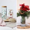 comforder Transparent Water Beads - Decorative Water Beads for Plants