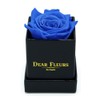 Dear Fleurs Los Angeles Petit Rose | Real Roses That