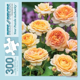 Bits and Pieces - 300 Piece Jigsaw Puzzle for Adults - 18" x 24" - Grandiflora Rose - 300 pc Large Piece Yellow Orange Spring Flowers Jigsaw