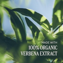 Loción Hidratante de Manos y Cuerpo Verbena Karité L'Occitane, 300ml