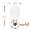 Xtricity A21 LED High Lumen Light Bulb, 28W, (150W Equivalent),