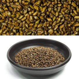 결명자(인도산 600g) Cassia Tora Seeds (Indian 600g)