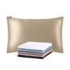 LILYSILK Silk Pillowcase Pillow Case, Maximum 25 Momme Natural Silk,
