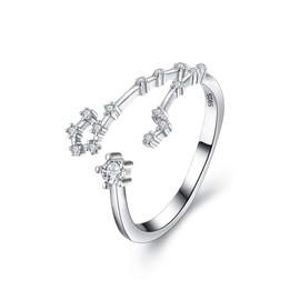 Clearine Women's Ring 925 Sterling Silver CZ Horoscope Zodiac 12 Constellation Astrology Adjustable Statement Ring Birthday Gift, Sterling Silver Cubic Zirconia, Cubic Zirconia