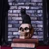 Nemesis Now Familiar Fate 24.3cm Black Witches Cat and Skull