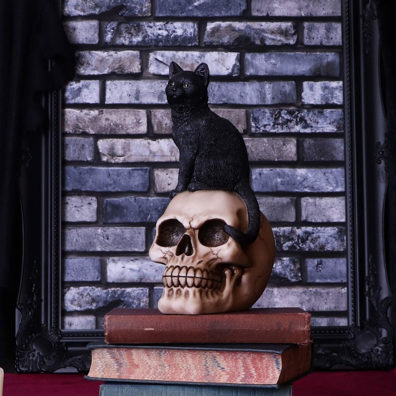 Nemesis Now Familiar Fate 24.3cm Black Witches Cat and Skull